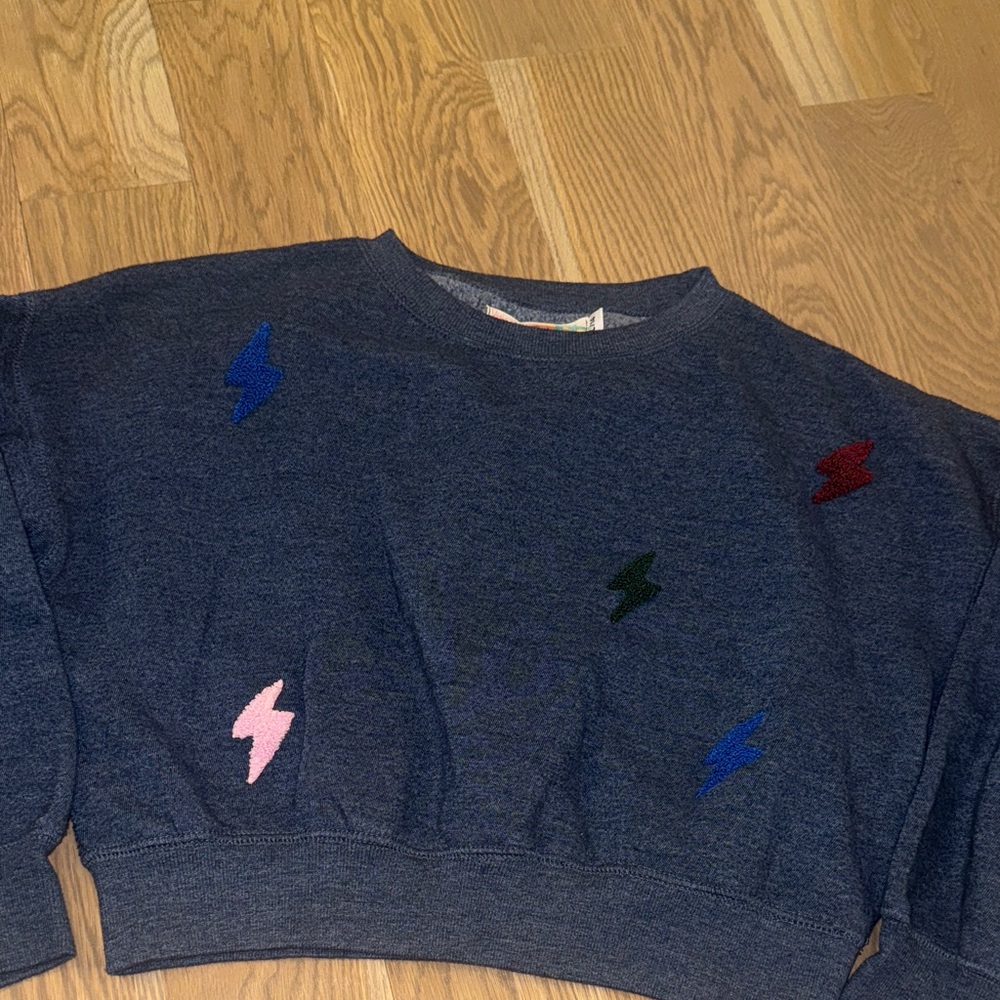 Vintage Havana Crop Lightening Bolt Sweatshirt